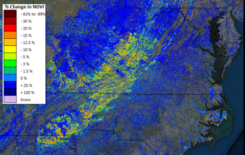 Delayed spring in the Central Appalachians in 2013