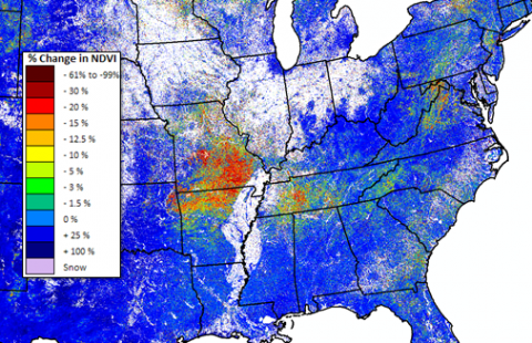 Areas where the 2007 frost was severe