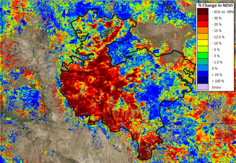 Patchiness within the 2012 Whitewater Baldy Fire