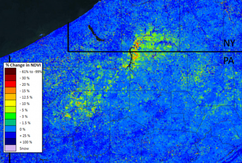 Gypsy Moth defoliation in PA and NY