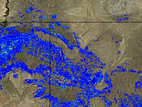 Defoliation in the Wasatch Range, Utah. Image: Steve Norman, USFS
